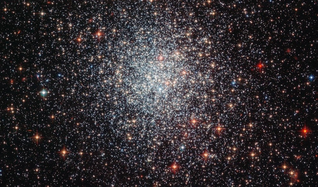 Shown here in a new image taken with the Advanced Camera for Surveys (ACS) on board the NASA/ESA Hubble Space Telescope, is the globular cluster NGC 1783. This is one of the biggest globular clusters in the Large Magellanic Cloud, a satellite galaxy of our own galaxy, the Milky Way, in the southern hemisphere constellation of Dorado. First observed by John Herschel in 1835, NGC 1783 is nearly 160 000 light-years from Earth, and has a mass around 170 000 times that of the Sun. Globular clusters are dense collections of stars held together by their own gravity, which orbit around galaxies like satellites. The image clearly shows the symmetrical shape of NGC 1783 and the concentration of stars towards the centre, both typical features of globular clusters. By measuring the colour and brightness of individual stars, astronomers can deduce an overall age for a cluster and a picture of its star formation history. NGC 1783 is thought to be under one and a half billion years old — which is very young for globular clusters, which are typically several billion years old. During that time, it is thought to have undergone at least two periods of star formation, separated by 50 to 100 million years. This ebb and flow of star-forming activity is an indicator of how much gas is available for star formation at any one time. When the most massive stars created in the first burst of formation explode as supernovae they blow away the gas needed to form further stars, but the gas reservoir can later be replenished by less massive stars which last longer and shed their gas less violently. After this gas flows to the dense central regions of the star cluster, a second phase of star formation can take place and once again the short-lived massive stars blow away any leftover gas. This cycle can continue a few times, at which time the remaining gas reservoir is thought to be too small to form any new stars. A version of this image was entered into the Hubble's Hidden Treasures image pr